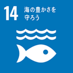 SDGs 14: 海の豊かさを守ろう