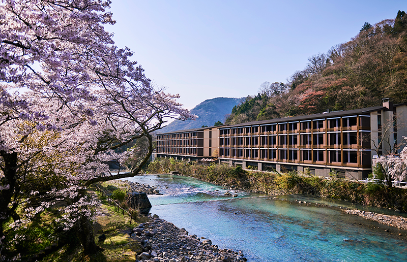 ホテルインディゴ箱根強羅 - 春の風景