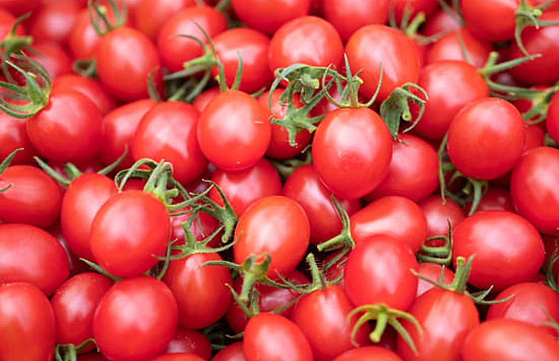 「バイオノ有機s」と「エキタン有機 特選エース」を使って栽培したミニトマト